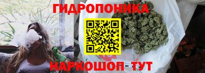 ГАЛЛЮЦИНОГЕННЫЕ ГРИБЫ Татарск