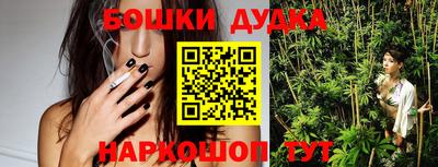 гидра Тара