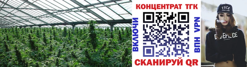 купить наркоту  ОМГ ОМГ зеркало  ТГК Wax  Череповец 