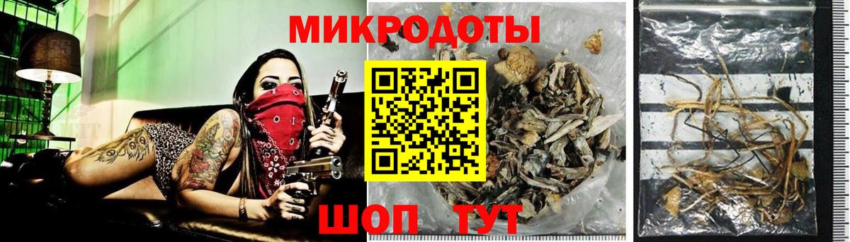 Галлюциногенные грибы Psilocybine cubensis Череповец
