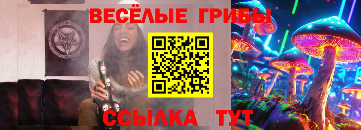 Псилоцибиновые грибы мухоморы  Псилоцибиновые грибы Psilocybine cubensis  Череповец  Вход с VPN 